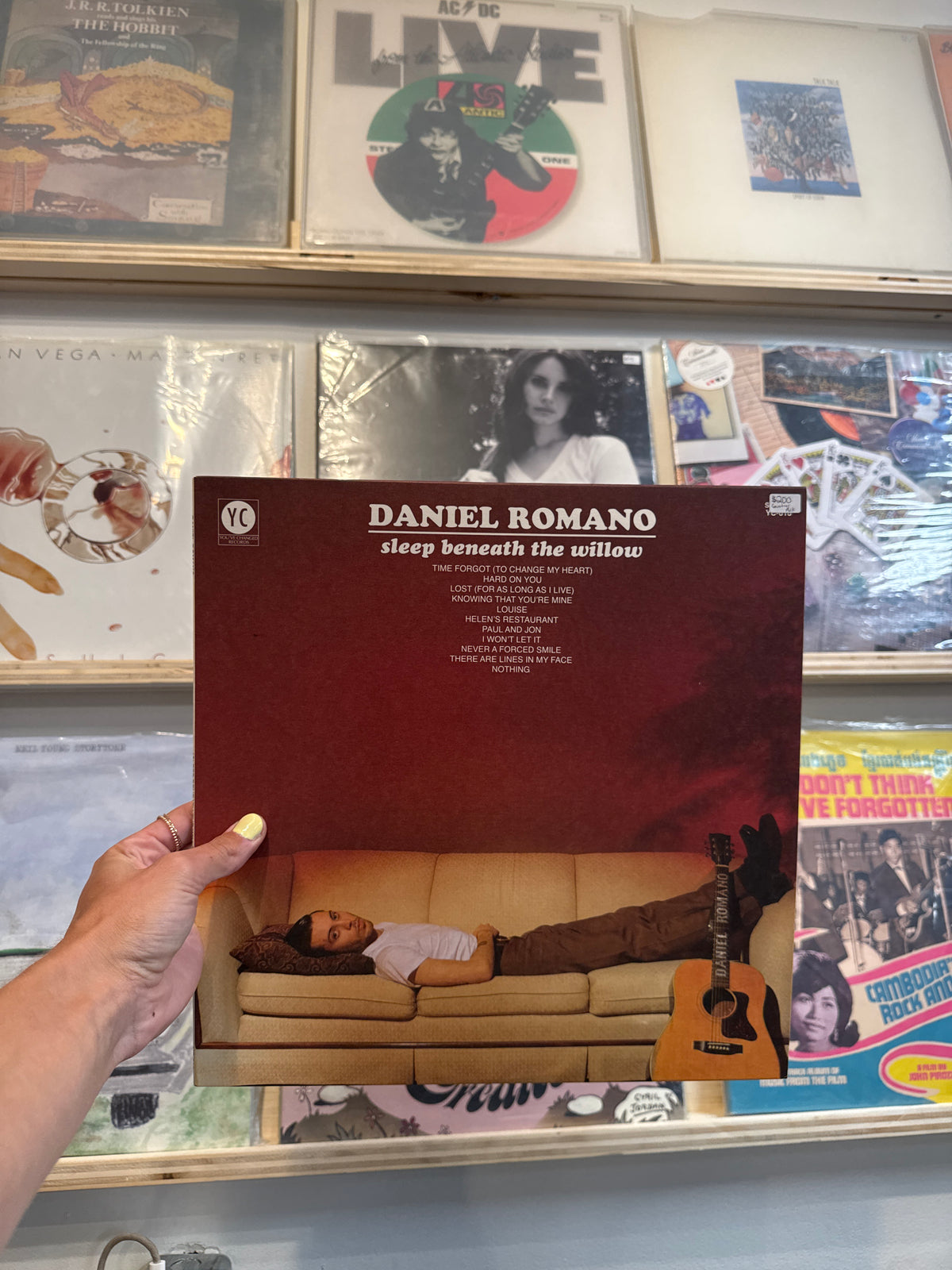 sleep beneath the willow - Daniel Romano