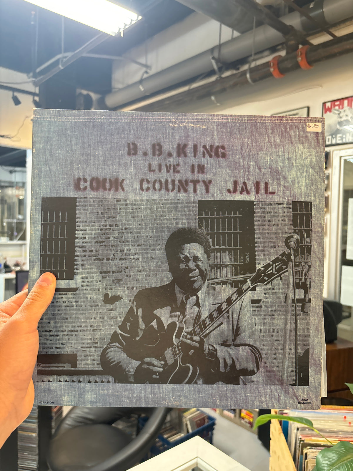 BB King - Live in Cook County