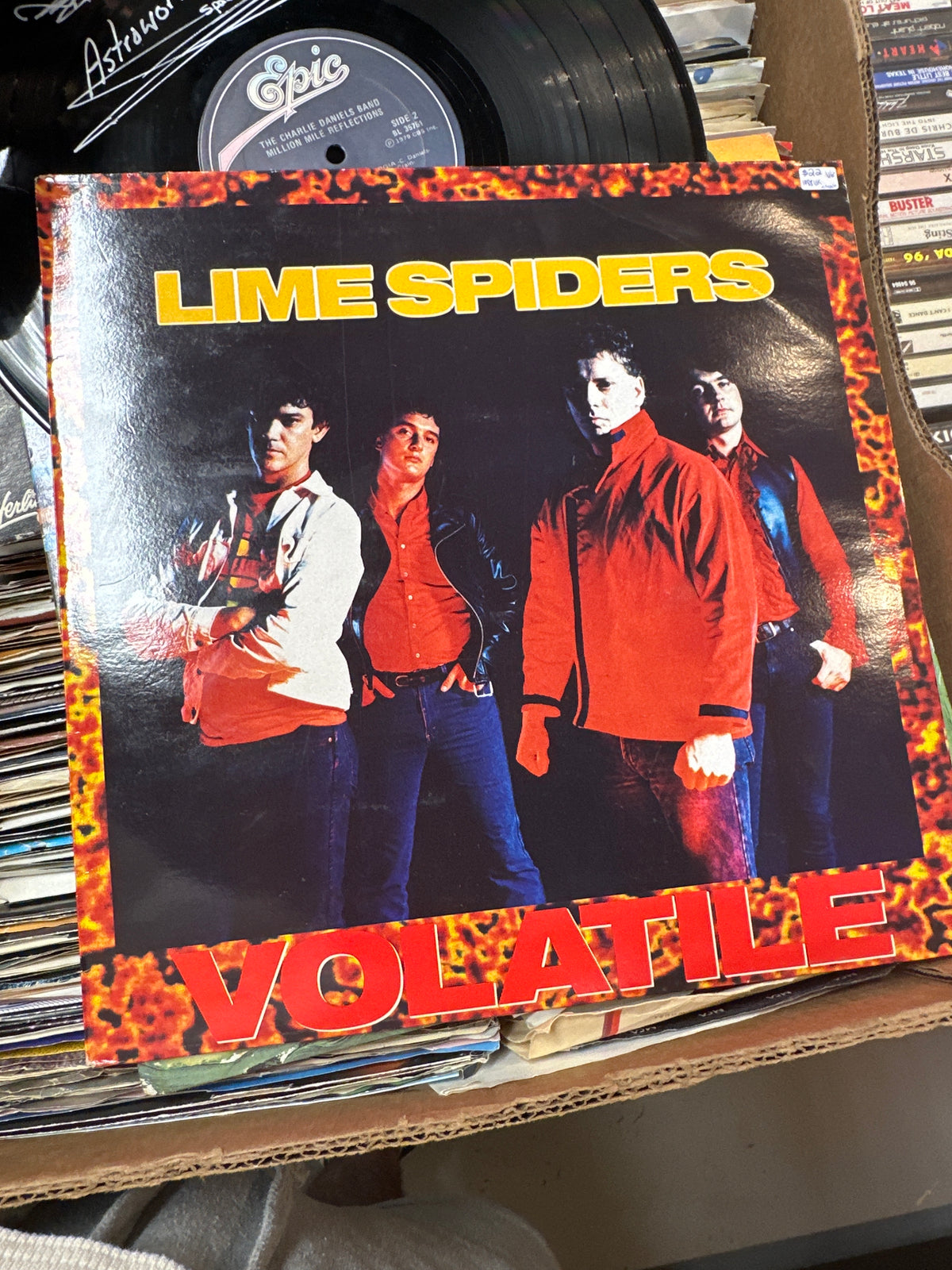 Lime Spiders - Volatile