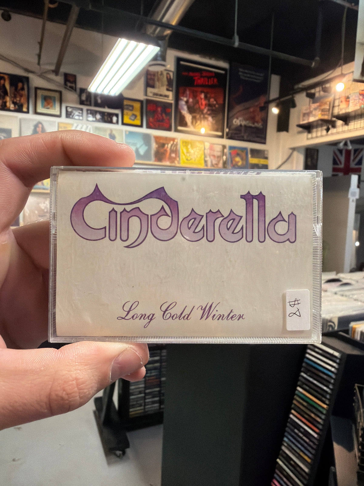 Cinderella - Long Cold Winter