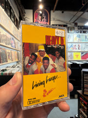 Heavy D - Living Large