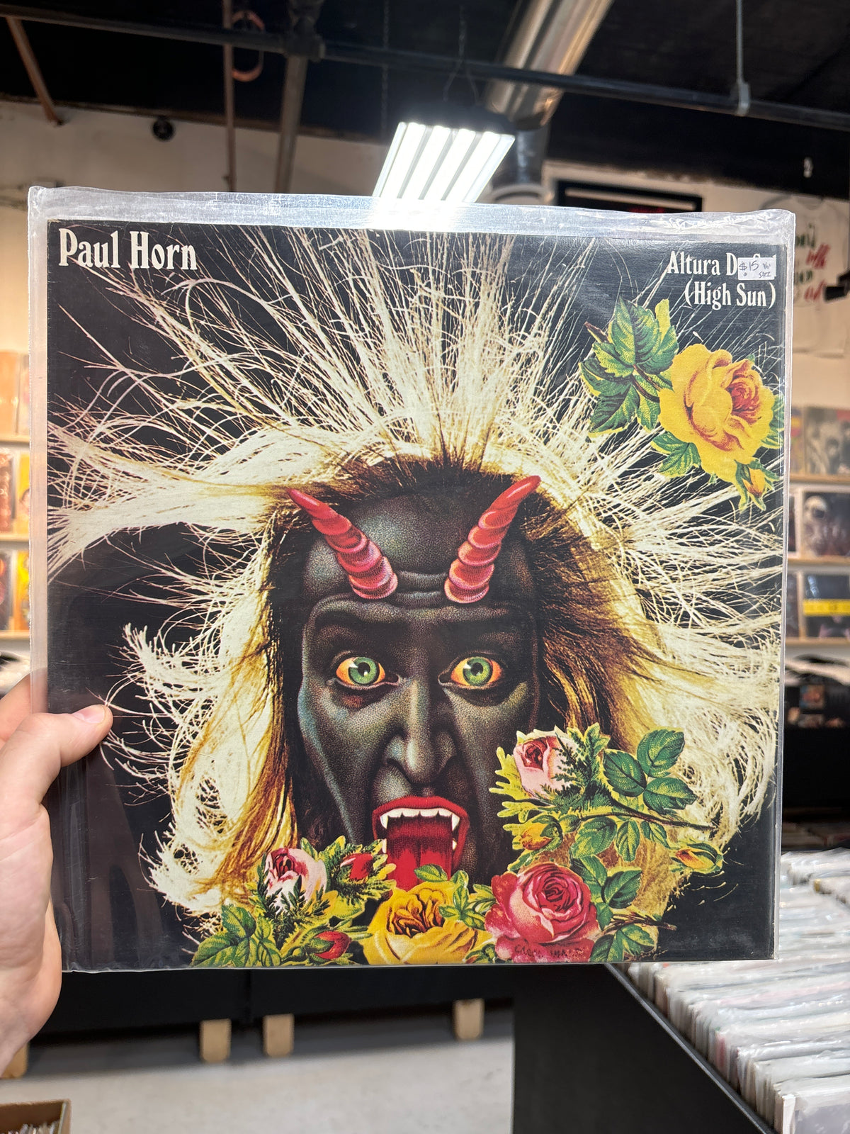 Paul Horn - Altura