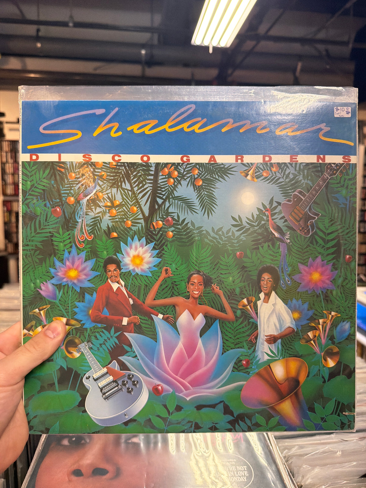 Shalamar - Disco Gardens