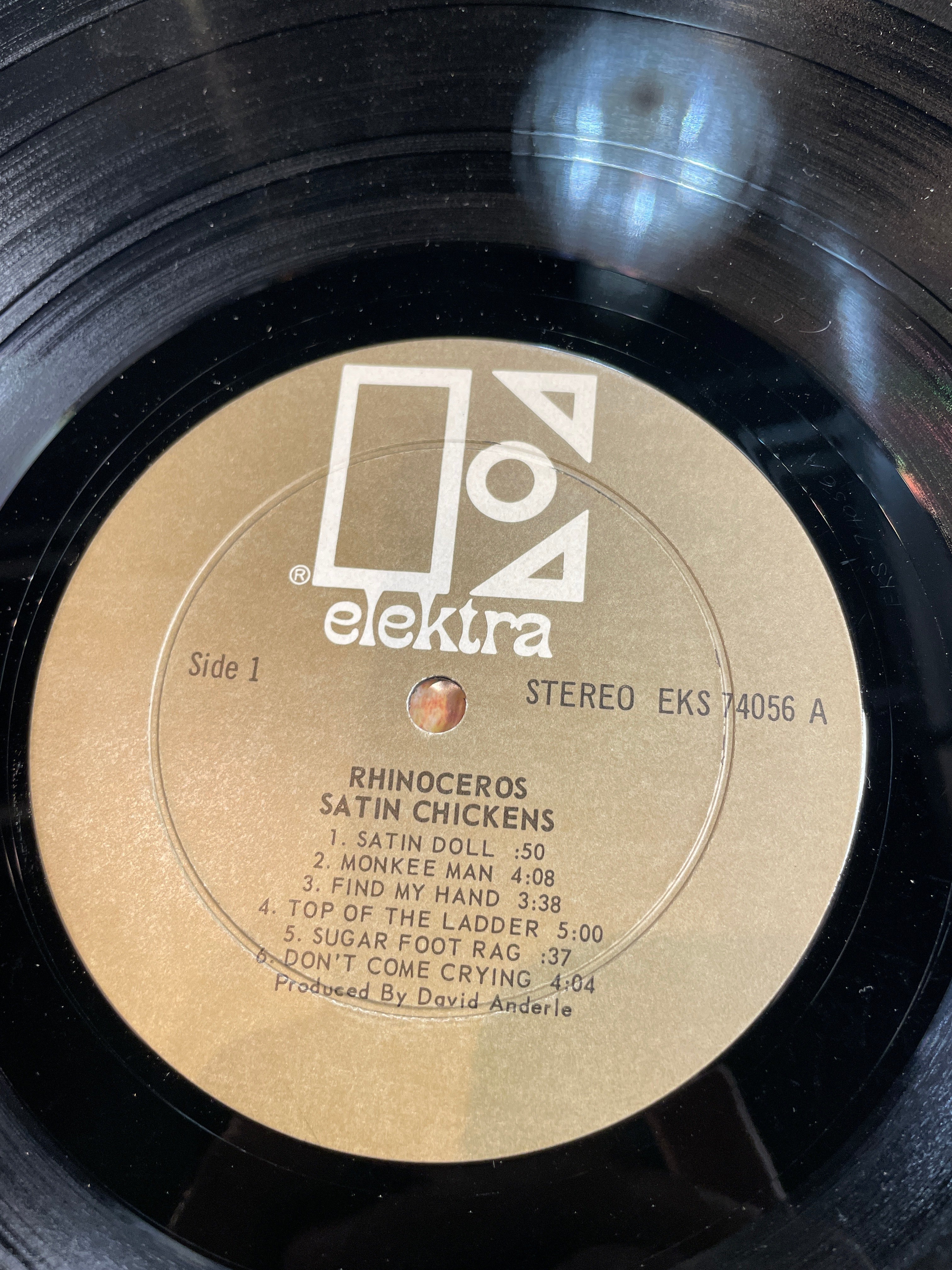 Rhinoceros - Satin Chickens