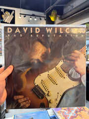 David Wilcox - Bad Reputation
