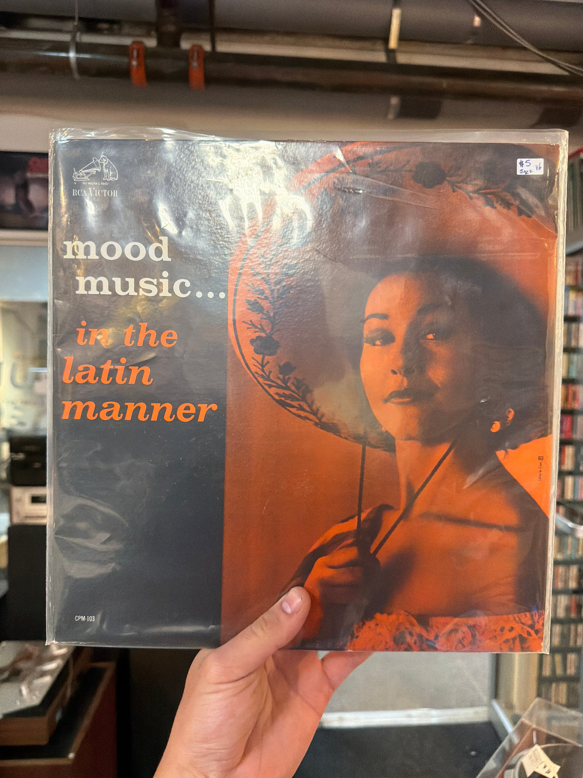 Mood Music In The Latin Manner