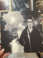 Take me home and make me like it - Alex Chilton