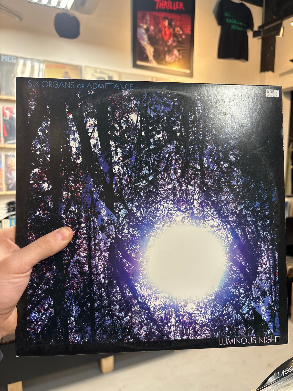 Six Organs of Admittance - Luminous Night