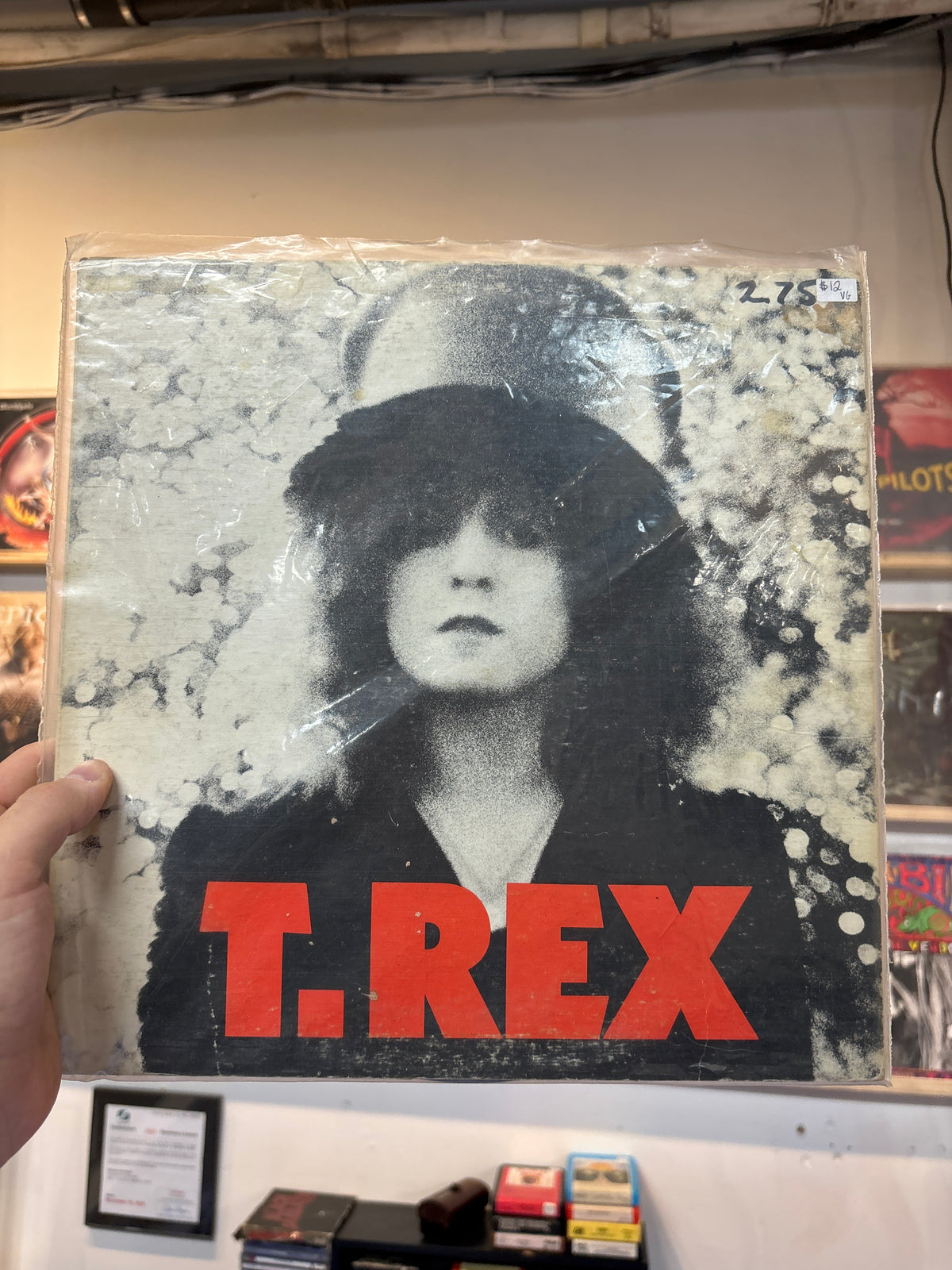 T Rex - Slider