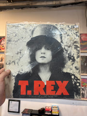 T Rex - Slider