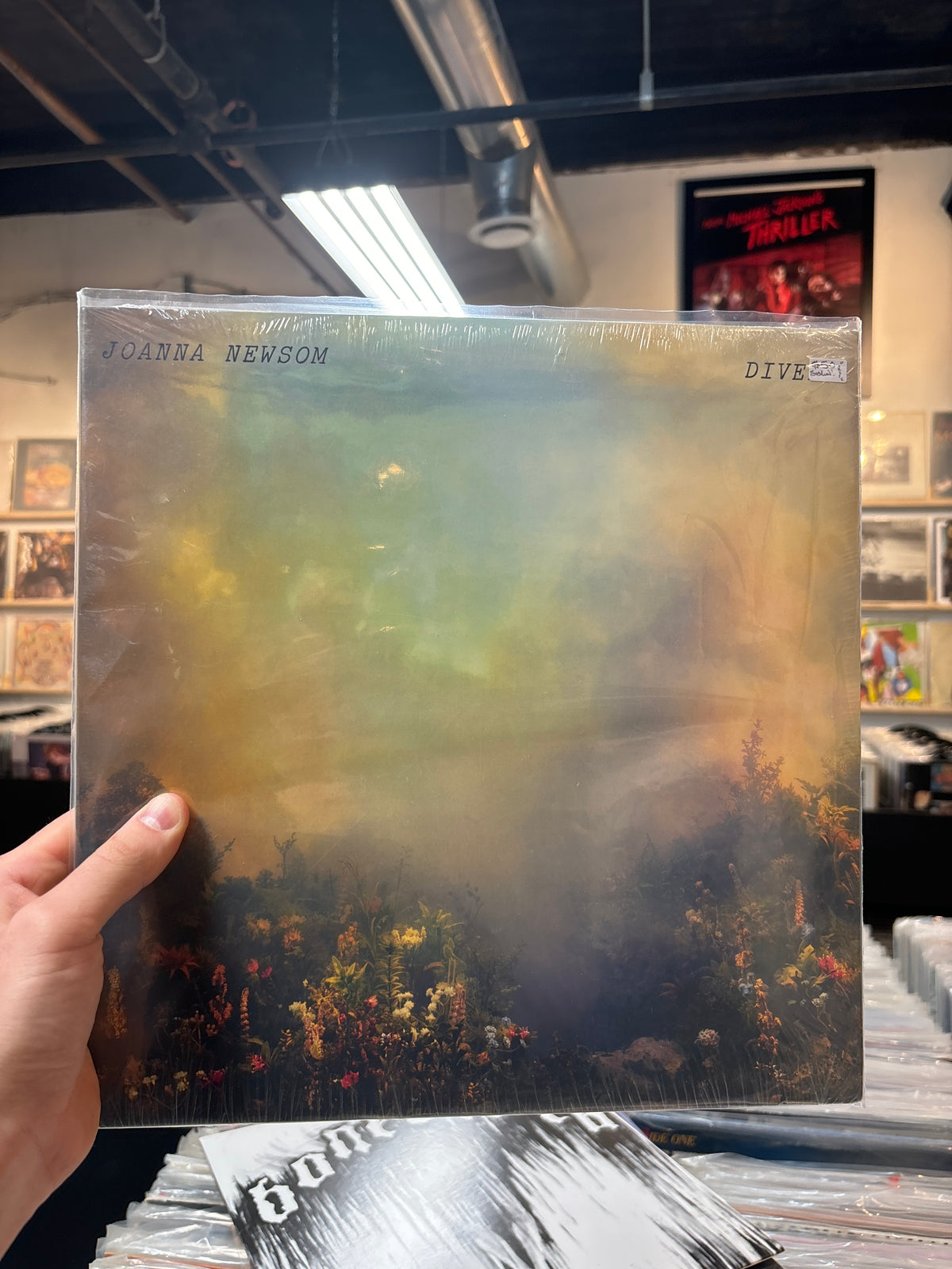 Joanna Newsom - Divers