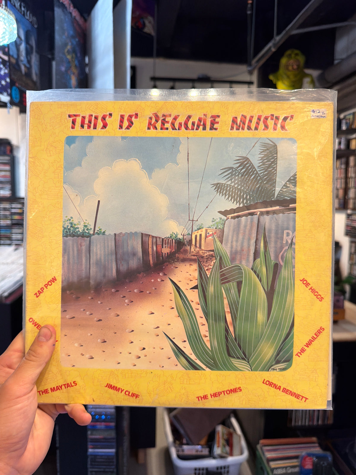 This is Reggae Music