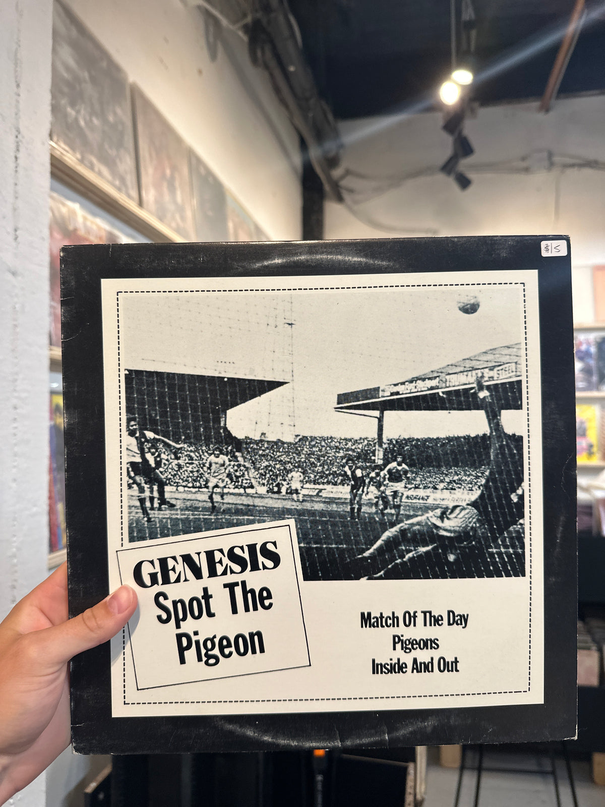 Spot the Pigeon - Genesis