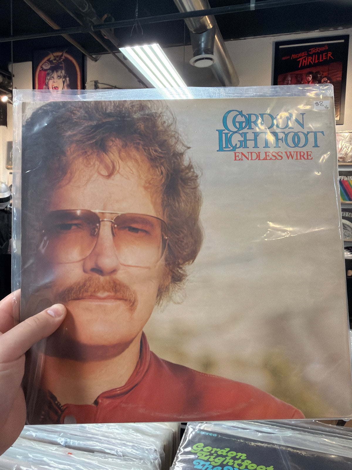 Gordon Lightfoot - Endless Wire