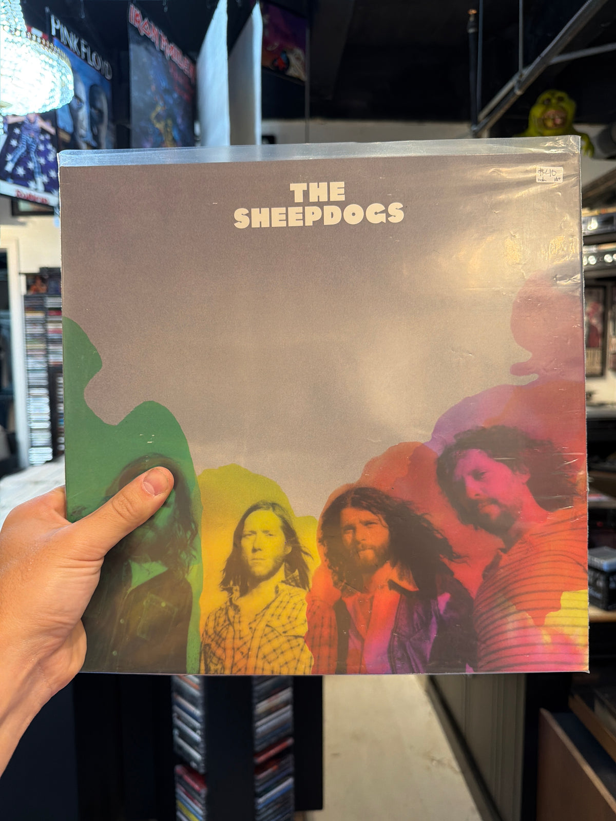 The Sheepdogs