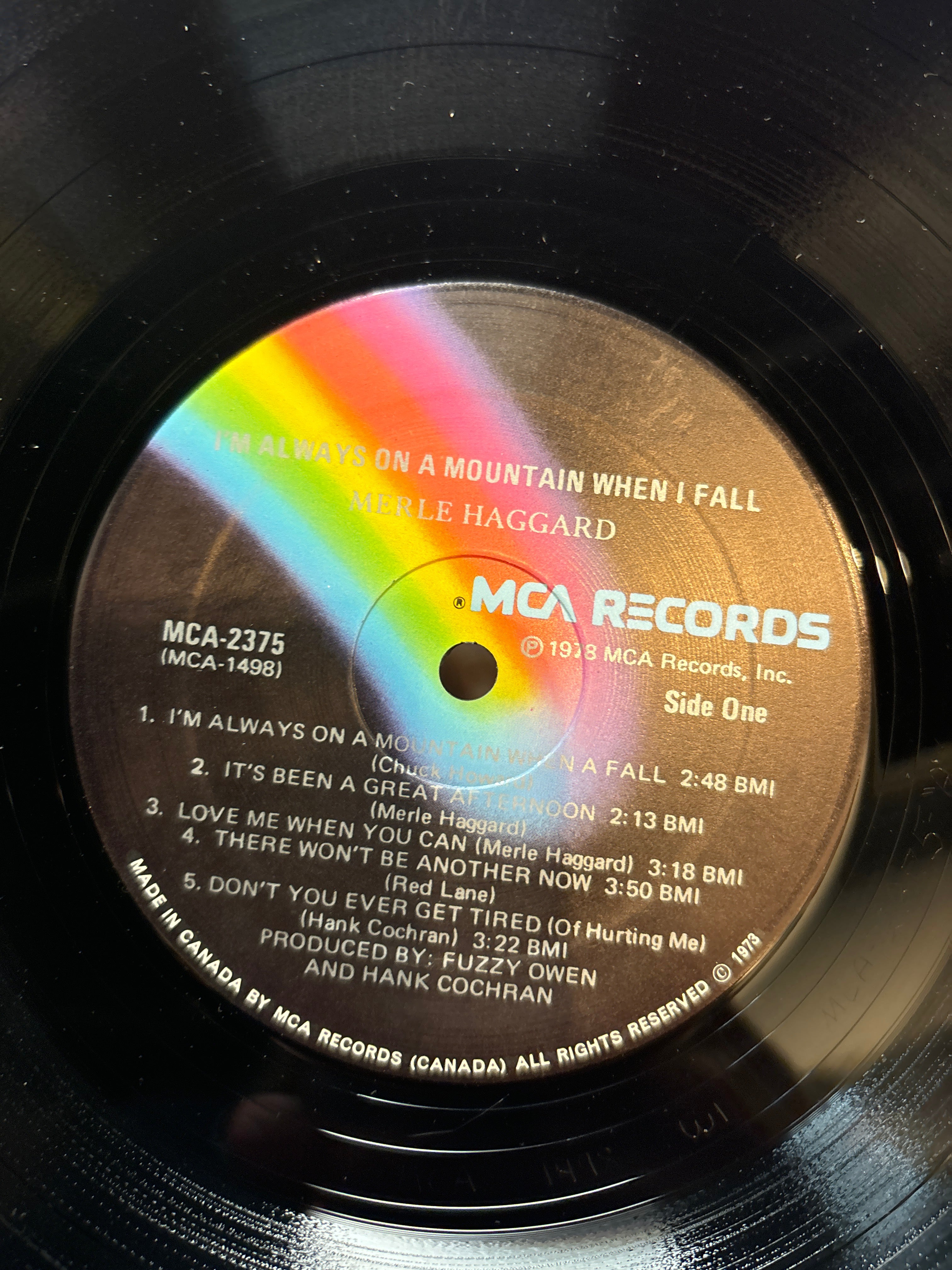 Merle Haggard - I’m Always on a Mountain