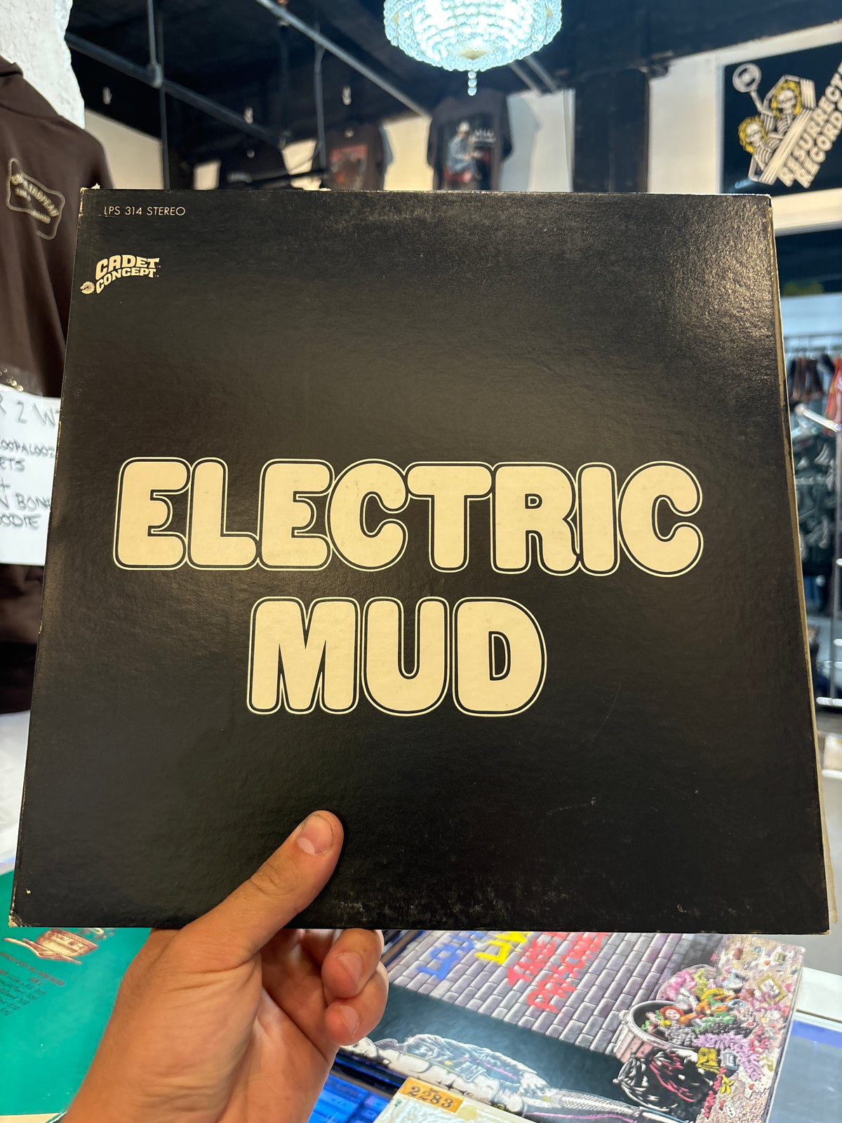 Muddy Waters - Electric Mud