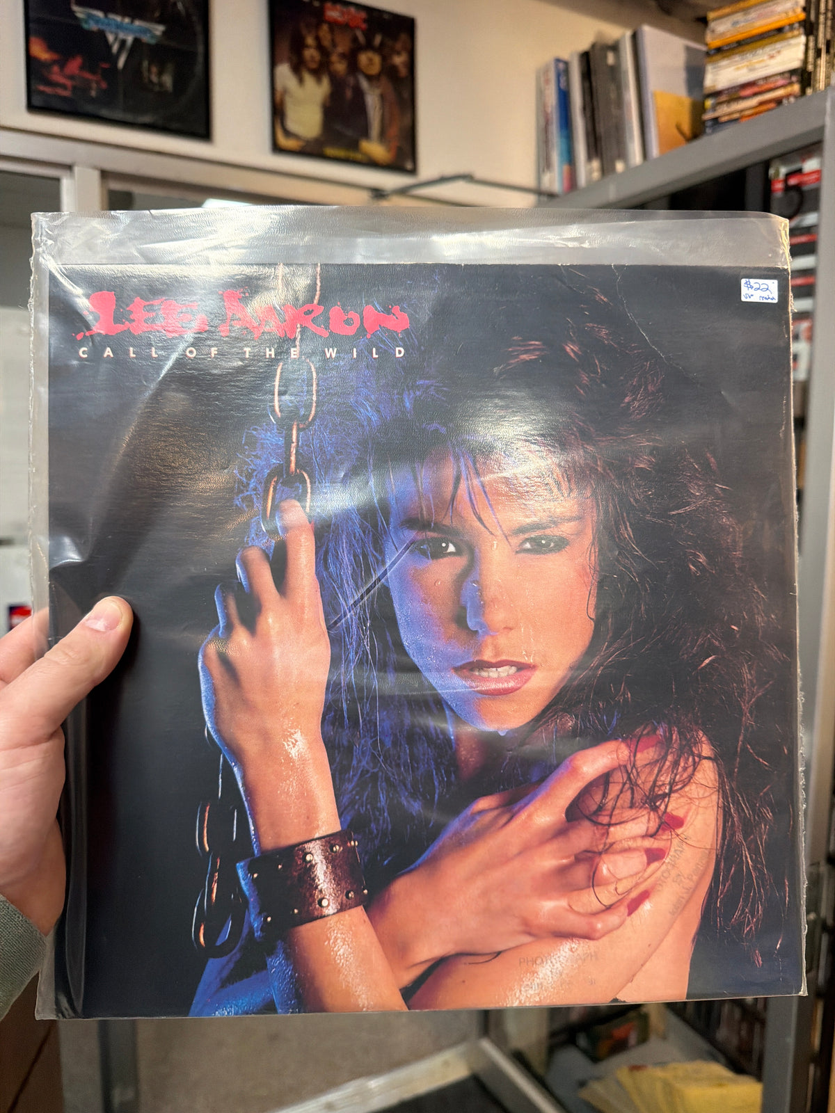 Lee Aaron - Call of the Wild