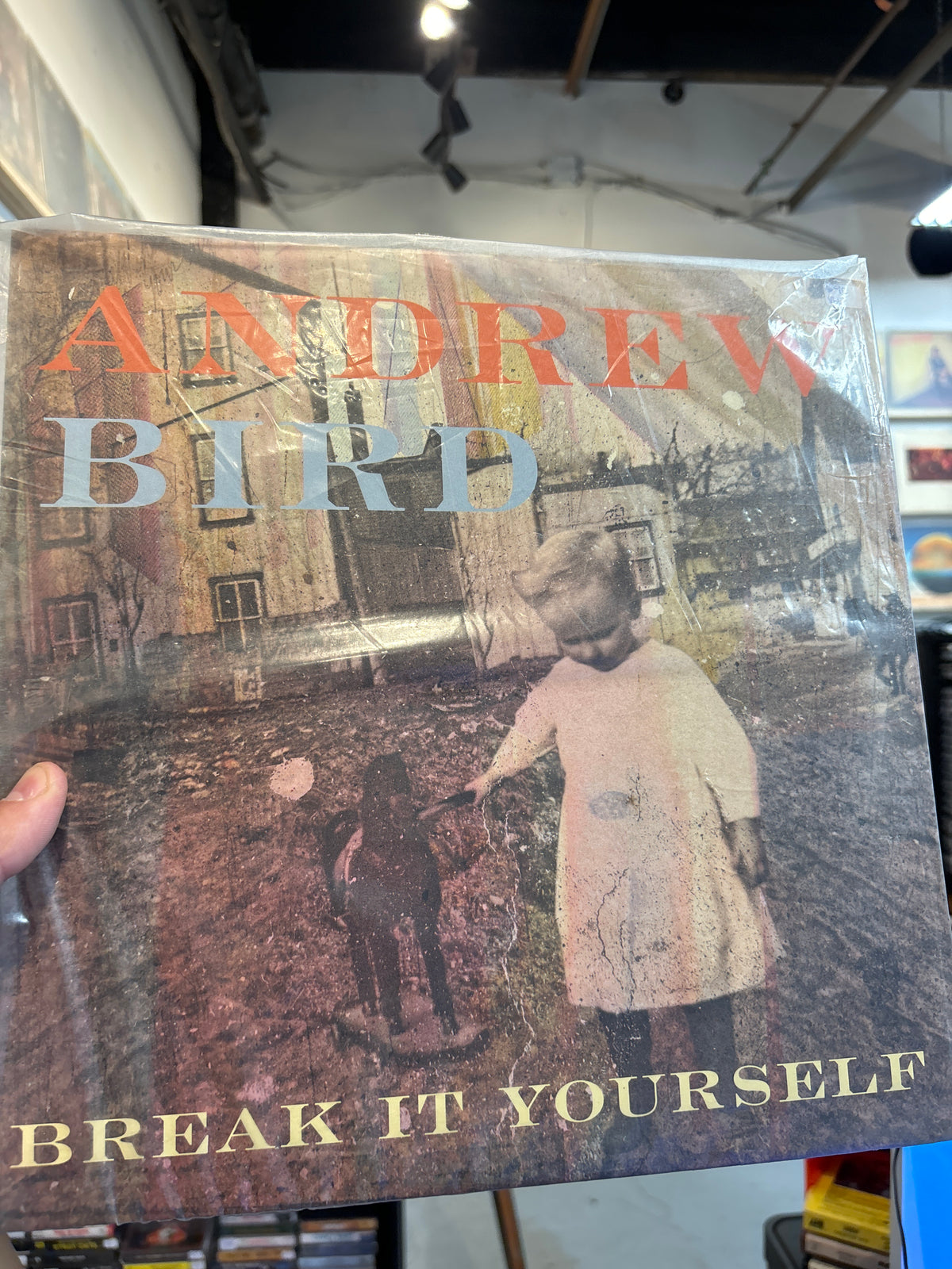 Andrew Bird - Break it Yourself